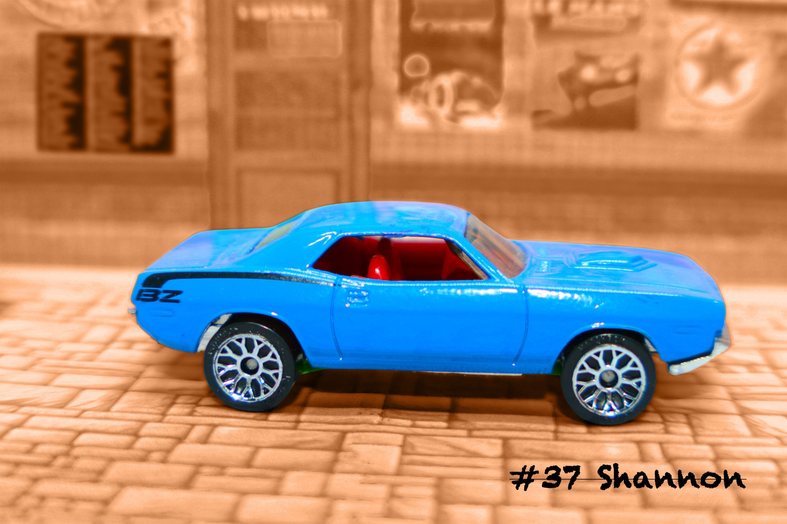 Happy Name Day Shannon (22/03)