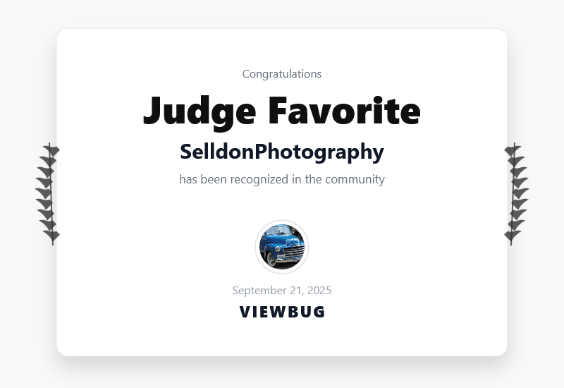 ViewBug “Judge Favorite” Award