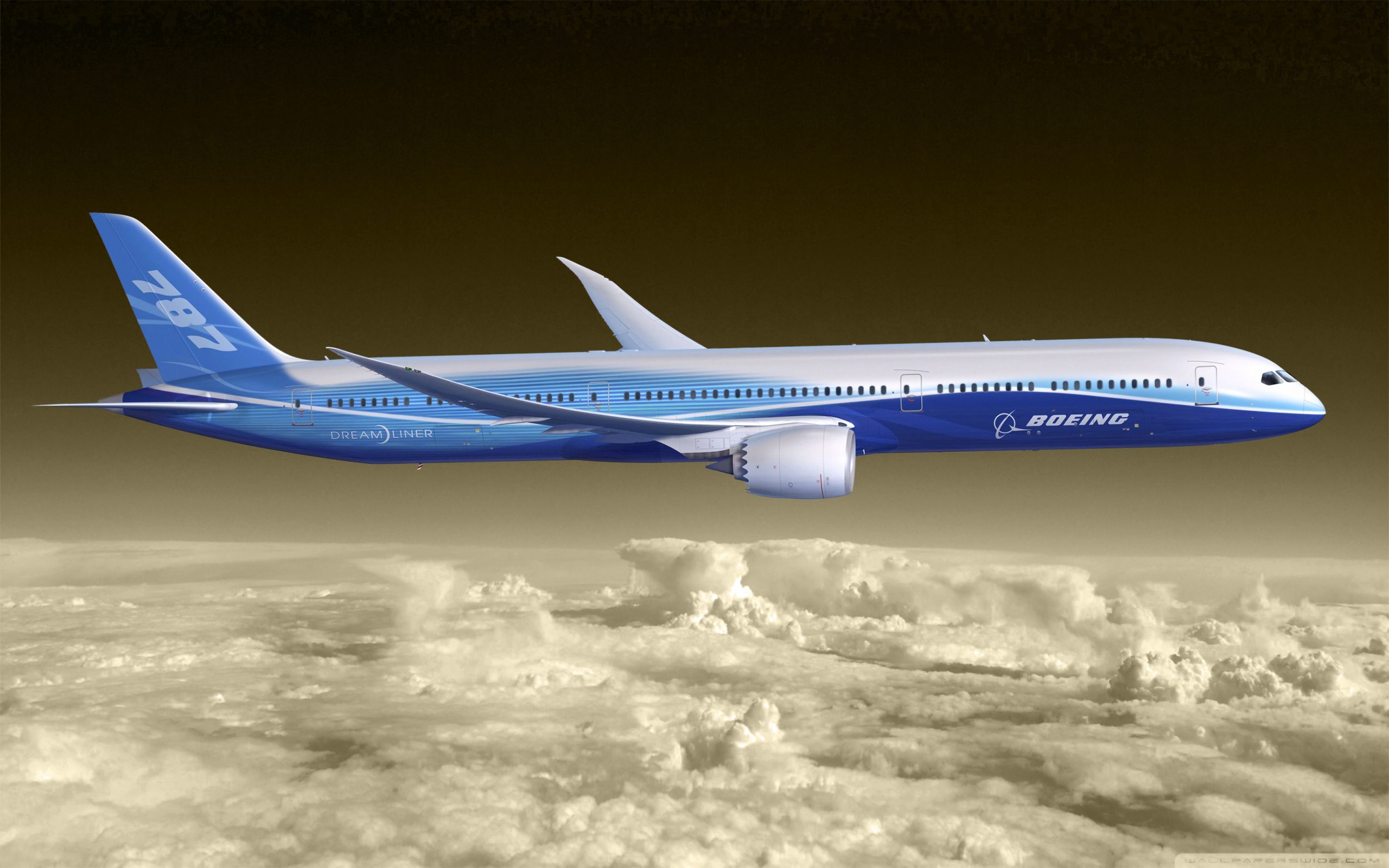 Maiden Flight of the Boeing 787 Dreamliner (2009)