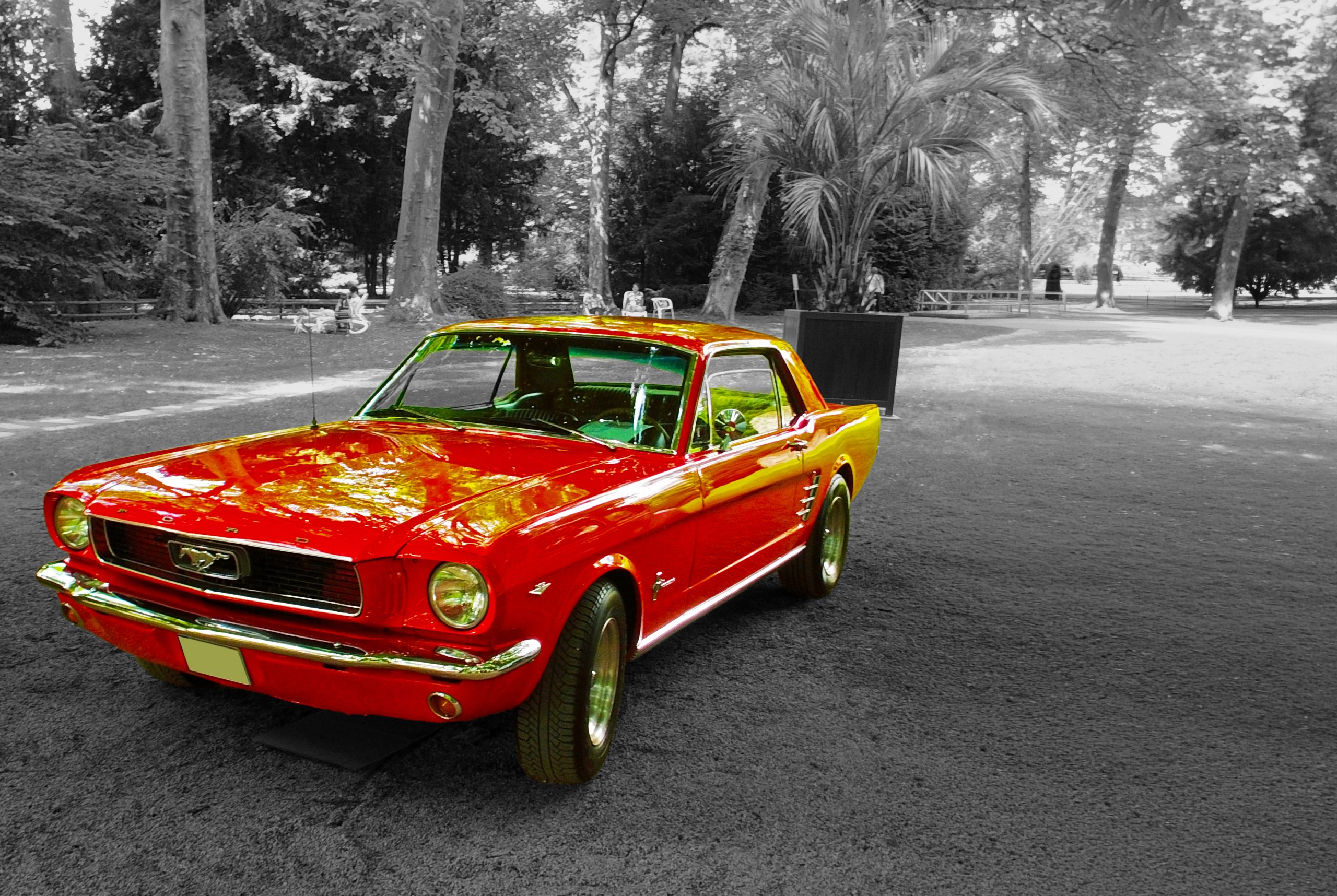 First Ford Mustangs Leave Assembly Line (1964)