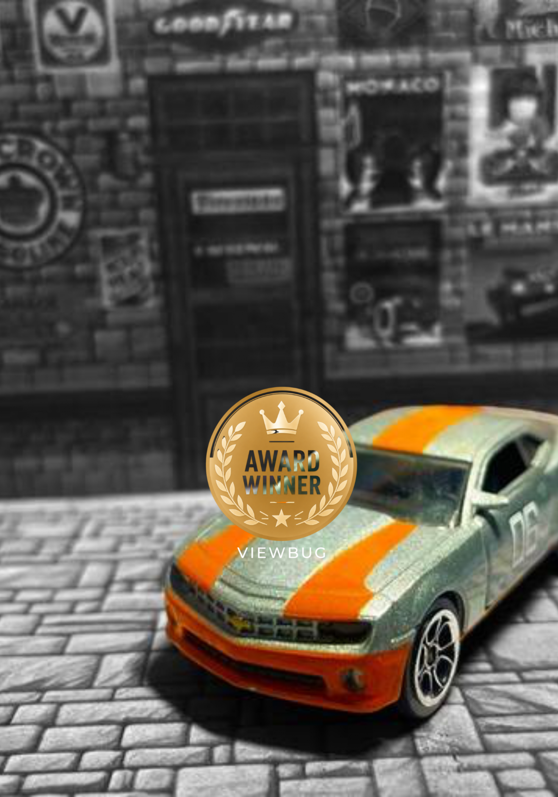 ViewBug “The Pause Award” Badge